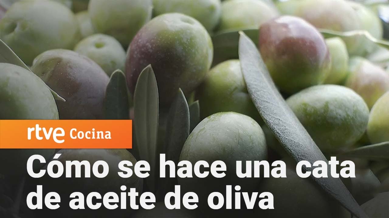 Cómo se hace una cata de aceite de oliva - Como Sapiens | RTVE Cocina