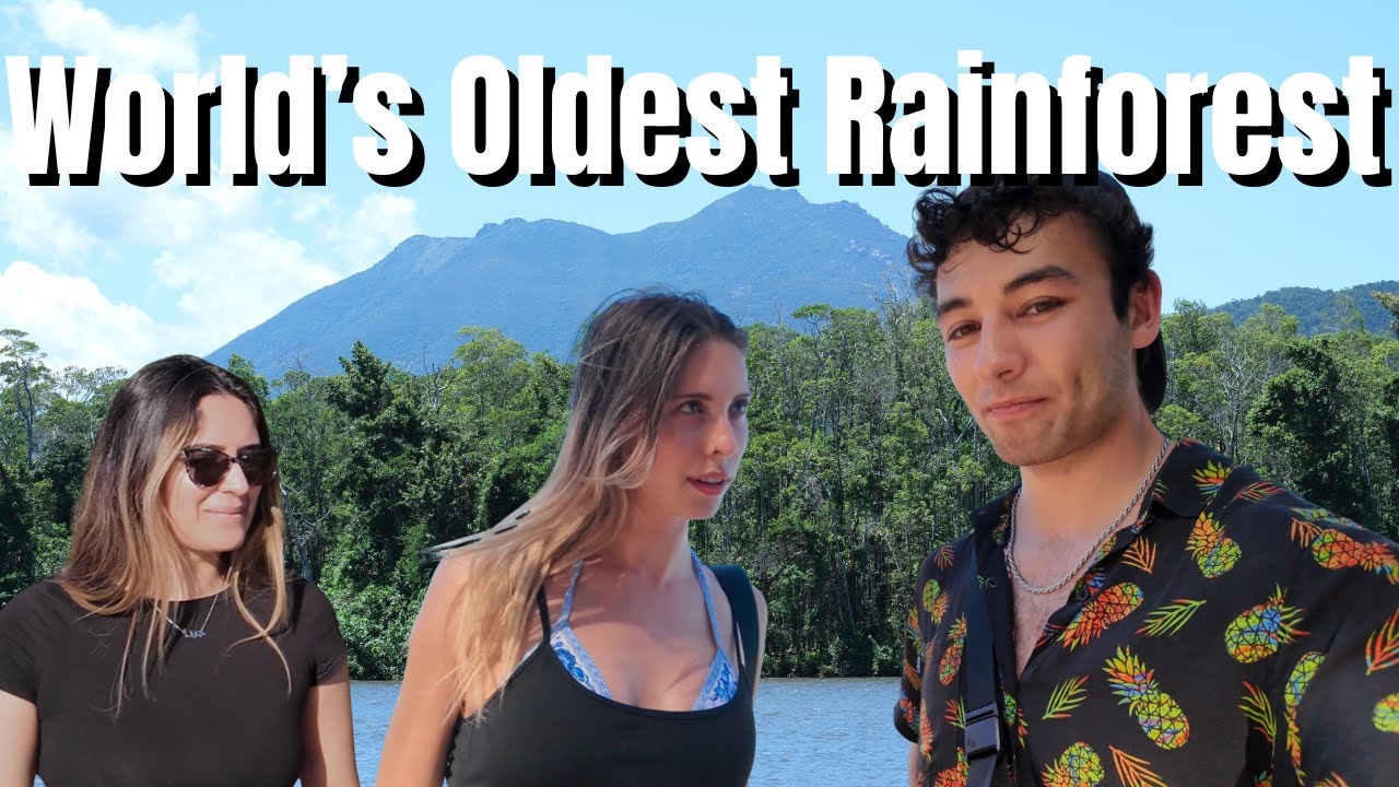A Day in Daintree - Australia 2025 Vlog