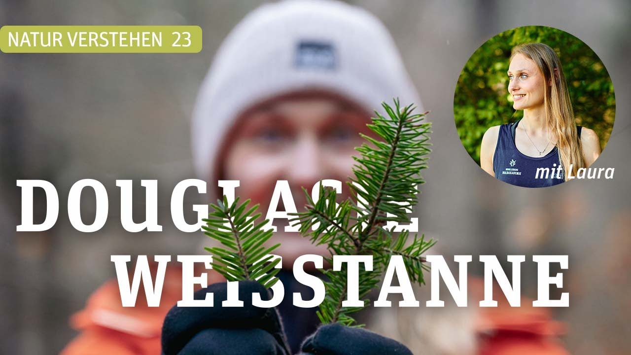WEISSTANNE ÄHH .... DOUGLASIE? - Laura klärt Baumarten auf!