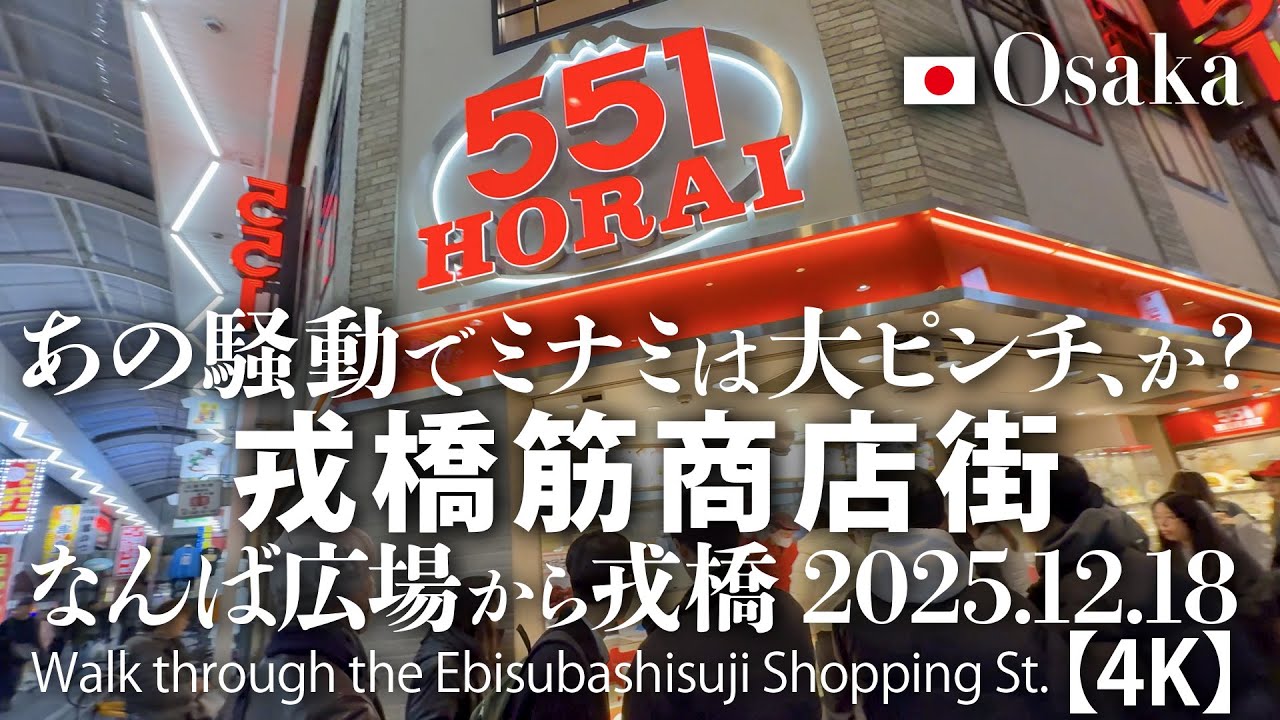 あの騒動でミナミは大ピンチ、か？戎橋筋商店街 なんば広場から戎橋 2025.12.18 【4K】Walk through the Ebisubashisuji Shopping St.
