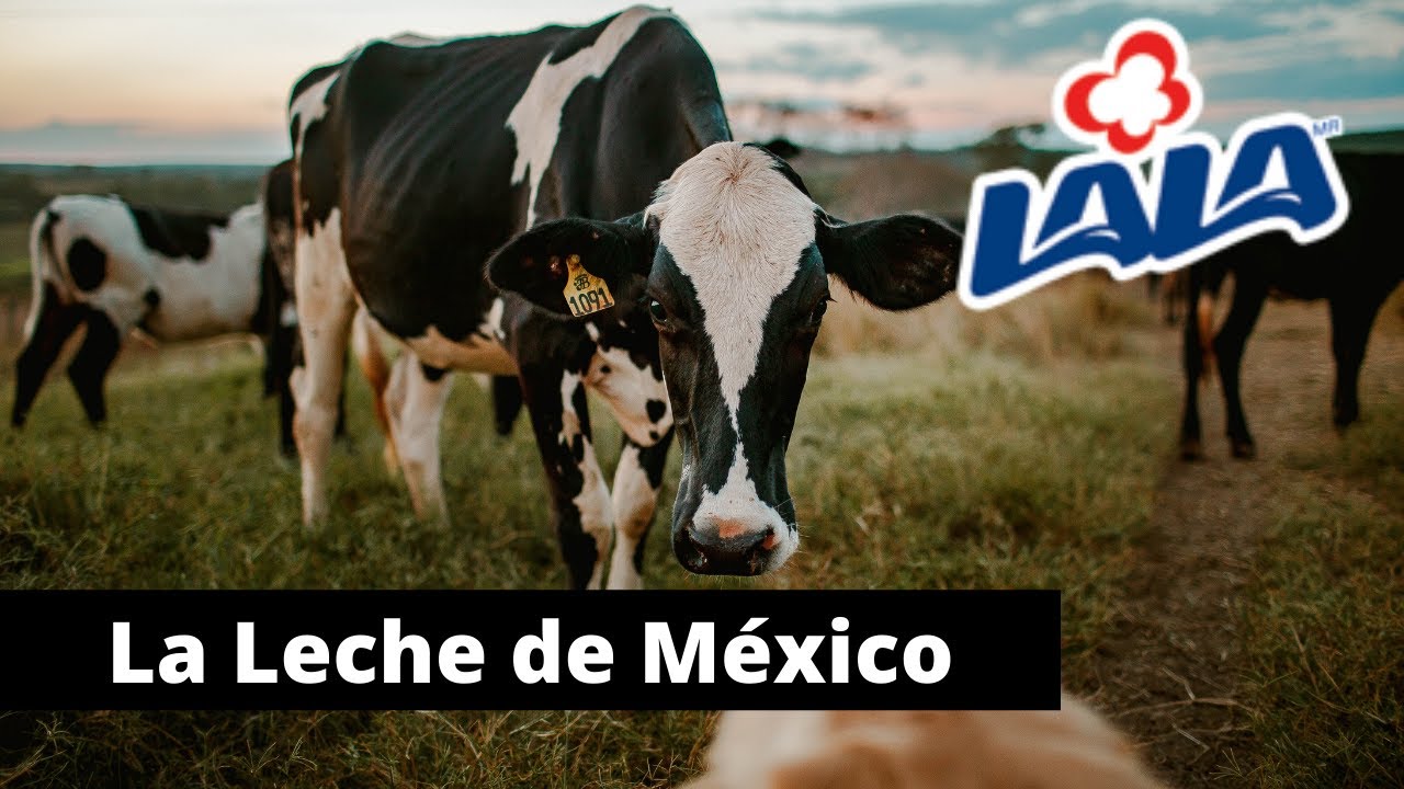 Historia de Lala | La PRIMERA empresa mexicana que PASTEURIZÓ la leche