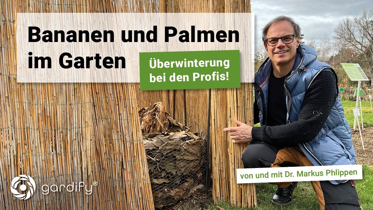 Bananen und Palmen im Garten – Tipps zur Überwinterung! | gardify im Botanischen Garten Bonn