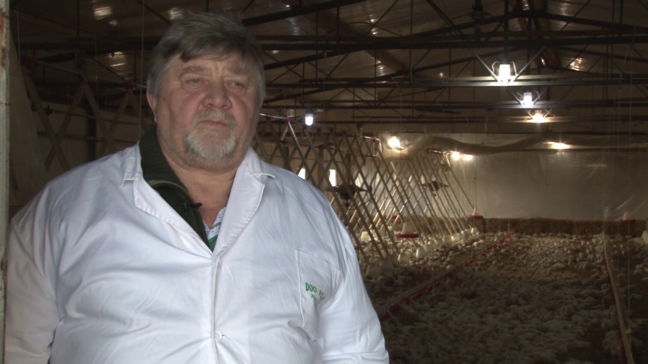 Živinarska farma - Novi Itebej