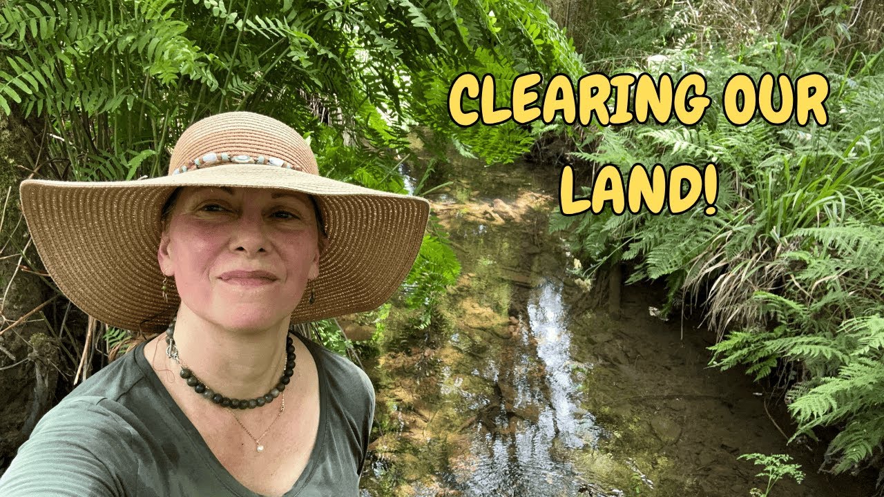 CLEARING OUR LAND ON A SCORCHING 40 DEGREES CELSIUS DAY IN CENTRAL PORTUGAL...🥵🥵