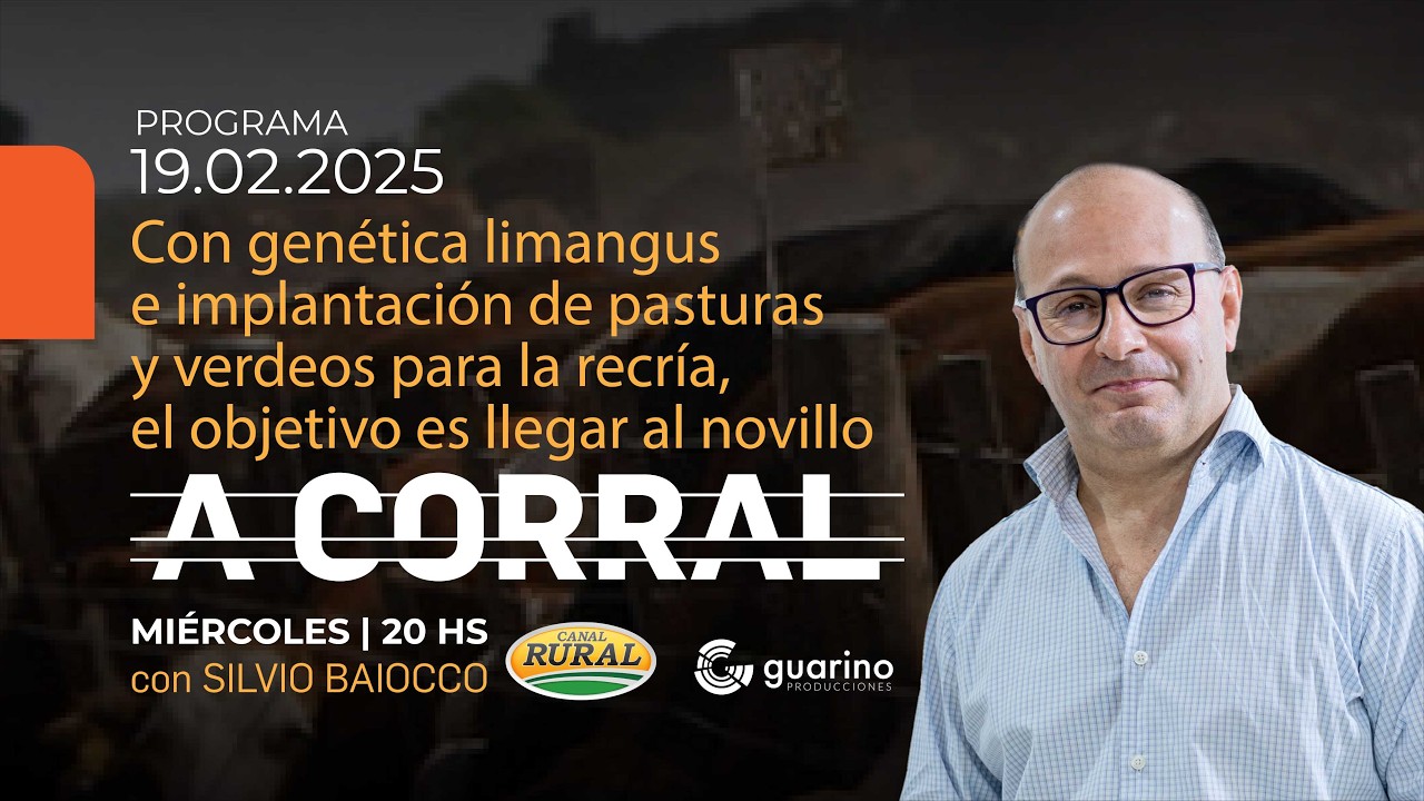 Con genética limangus e implantación de pasturas y verdeos para la recría el objetivo es el novillo