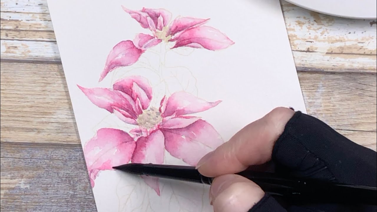 Precious Poinsettia in watercolor