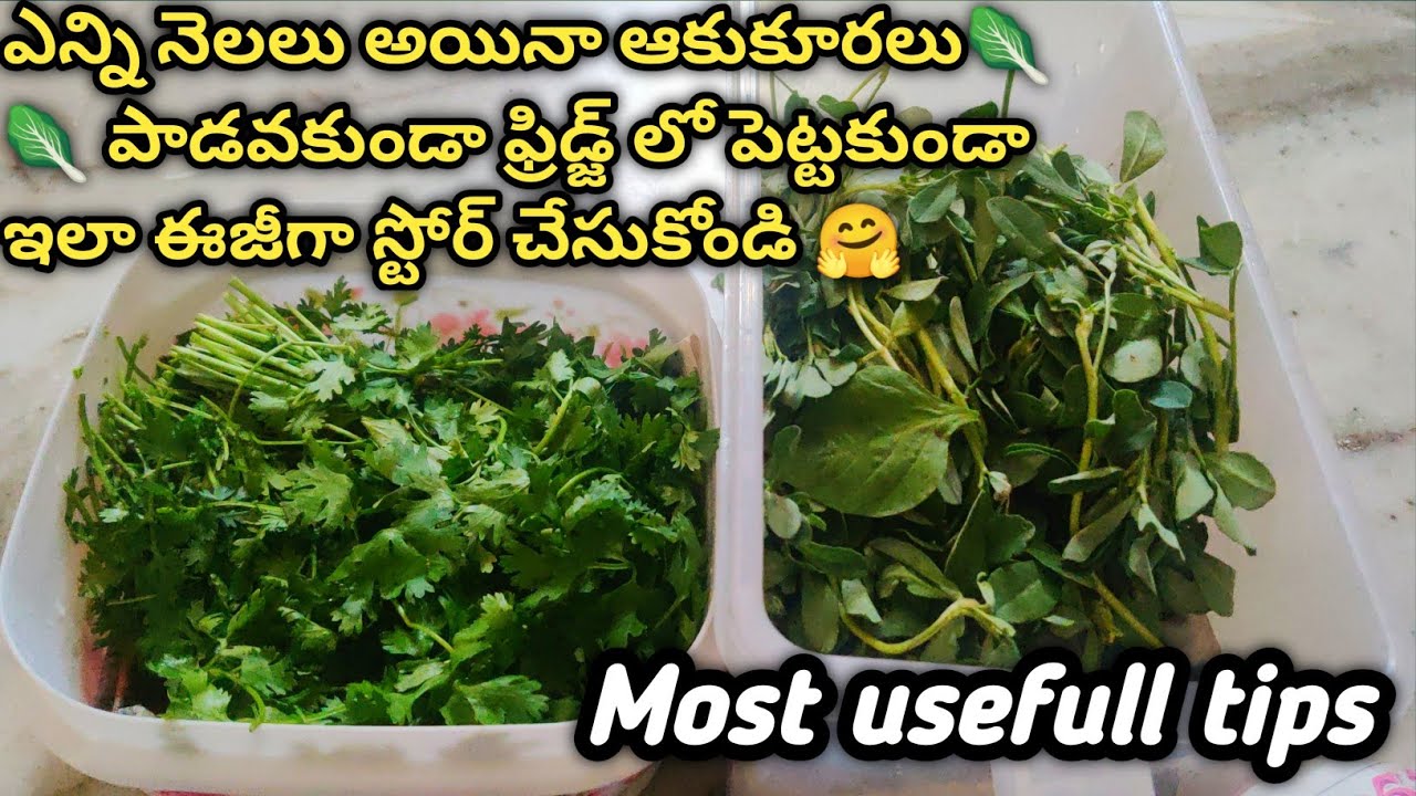 How to store green leaves fresh for long time without fridge #kitchentips #sonyvlogs #tips& tricks
