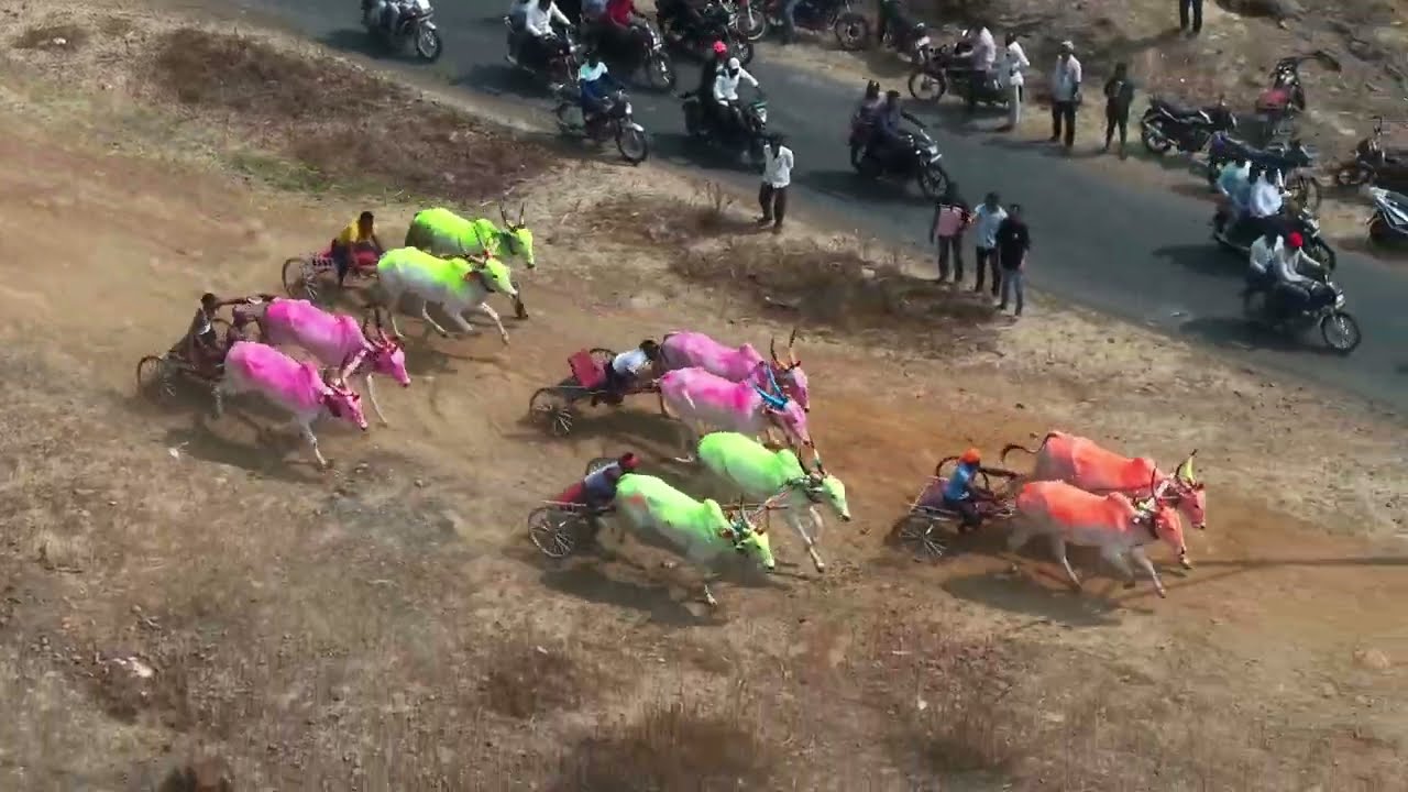 टाकळीवाडी जनरल बैलगाडी शर्यत बक्षीस 1 लाख रुपये 1अजिंक्य कोपर्डेमाने बुधगाव 2ब्रेक फेल 3बुलेट छब्या 
