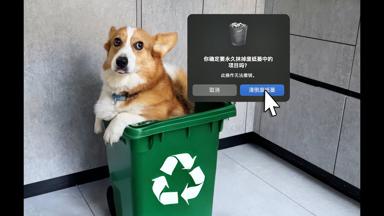 这是碳基生物能干出来的事吗？