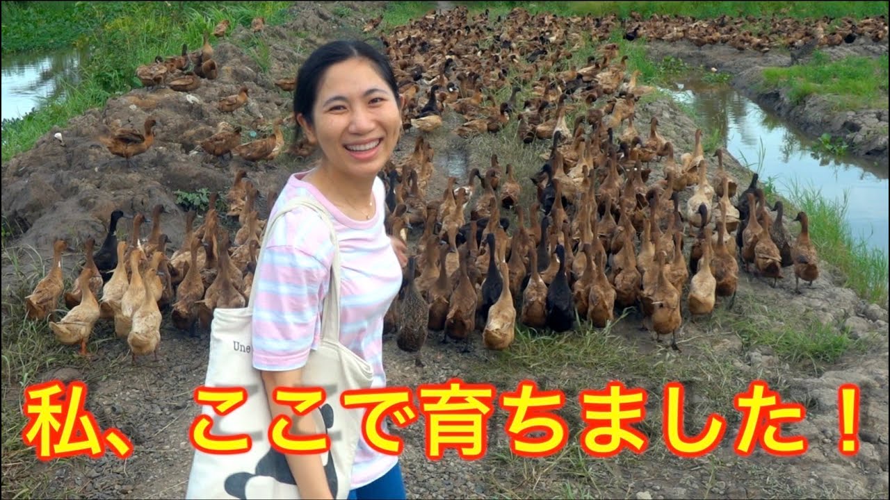 【国際カップル】外国人妻の実家の畑に初めて行ったら衝撃だった！【日越夫婦/国際カップル】（ジェムチャンネル）