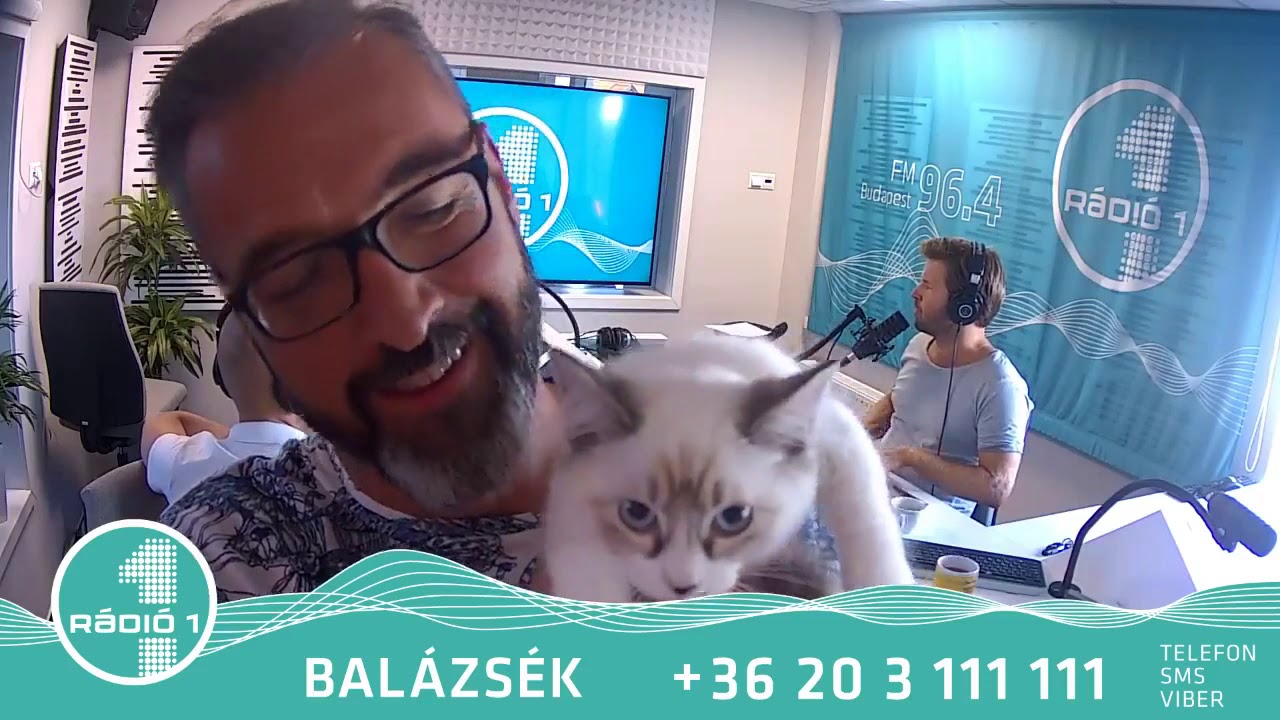 Balázsék ma macska allergiát tesztelnek cicákkal :) [2018. július 25.]