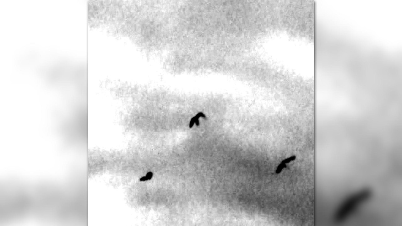 Au-delà des rôles - Th3 Dream7