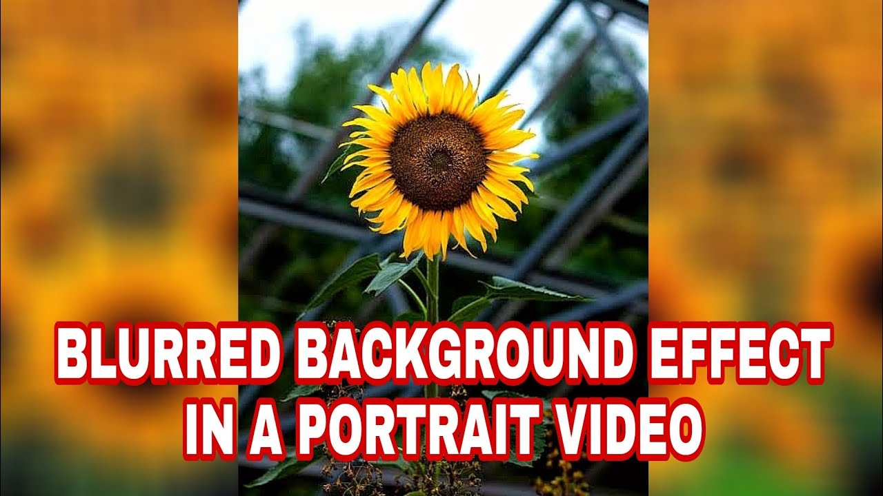 Easy Blur Background Effect in a Portrait Video | Kinemaster Tutorial