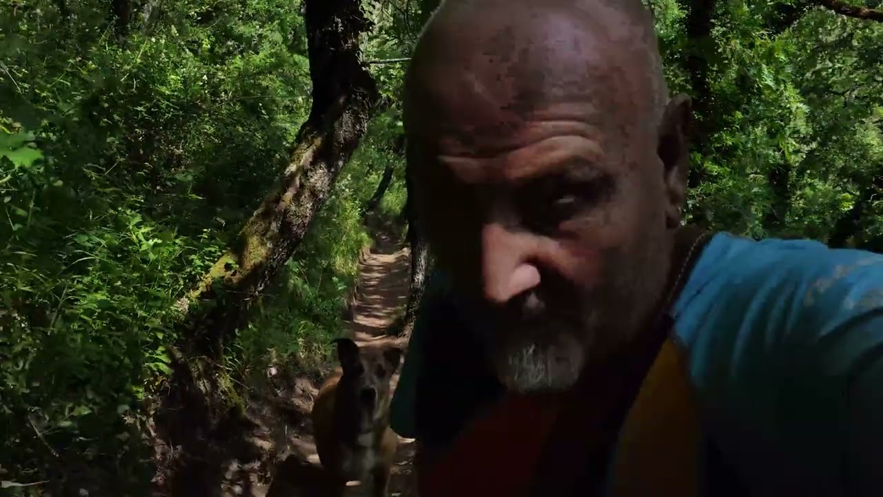 TORENO   Acondicionamiento de la ruta la Senda del Jabali