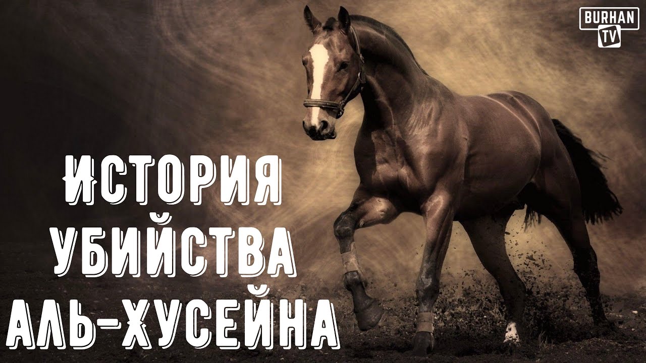 История убийства аль-Хусейна | Шейх Мухаммад аль-Арифи