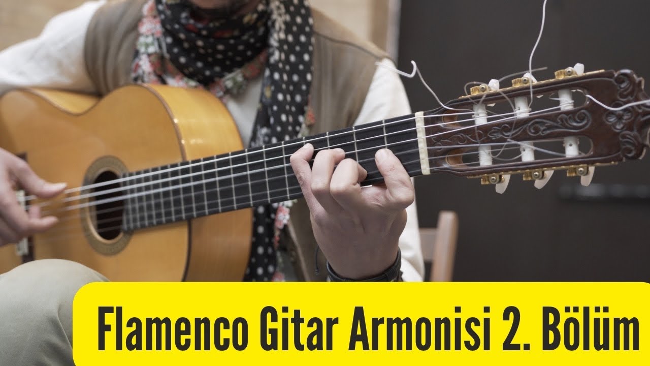 Flamenco Gitar Armonisi 2. Bölüm / Taylan Polat 