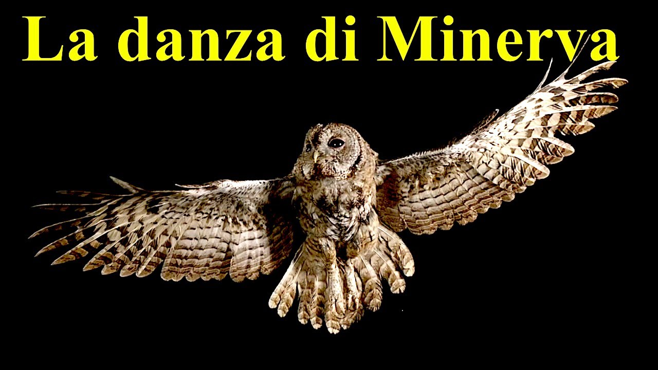 Ghigo Renzulli - La Danza di Minerva