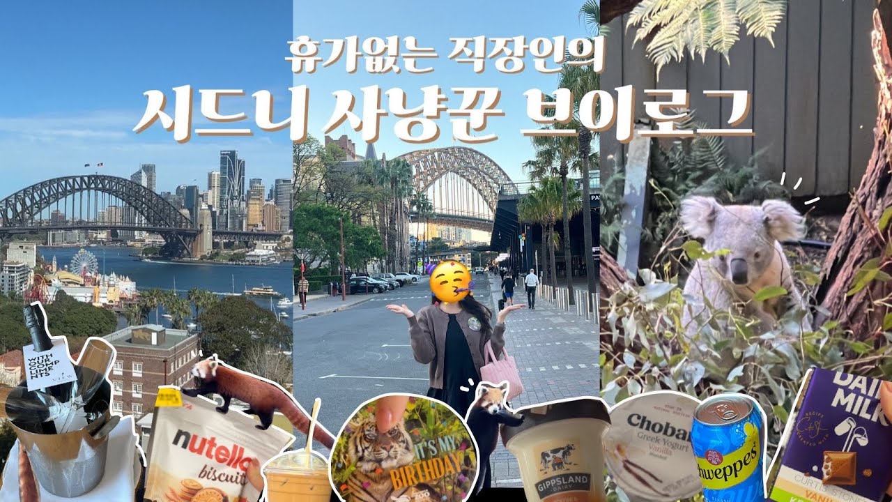 🇦🇺 광기의 시드니 여행 vlog | 하버뷰 호텔 추천, 1달러에 동물원 가는법 🐨 코알라, 쿼카 찾아 떠난 호주여행, 시드니 마트 털기, 칵테일바 추천🍹
