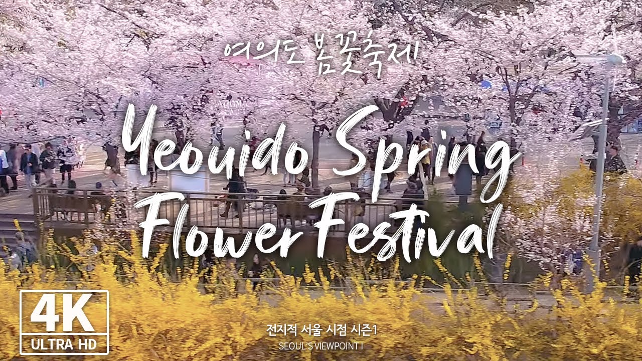 [4K Drone ✈] 전지적 서울 시점 8 _ 여의도 봄꽃축제 편!