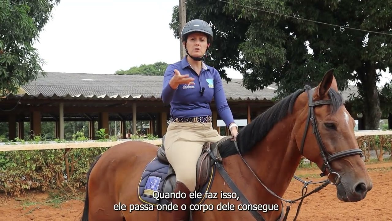 Como galopar?