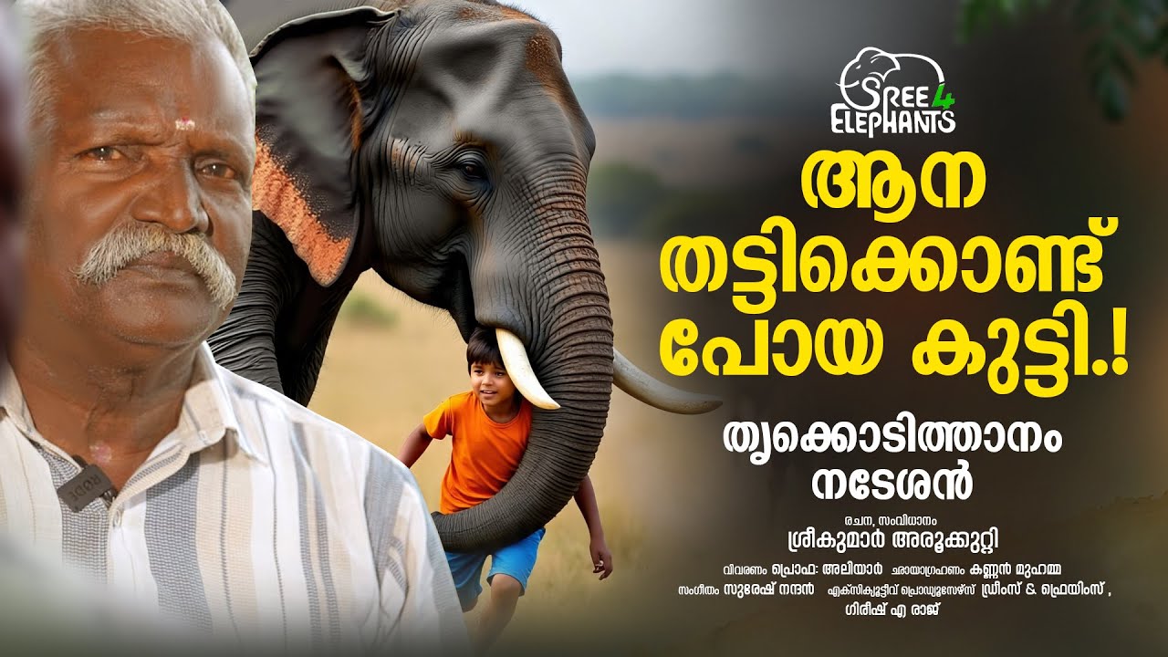 പാപ്പാനെ കിണറ്റിലേക്ക് തട്ടിയിട്ട് കിണർ ഇടിച്ചുമൂടിയ ആന..! | Sree 4 Elephants