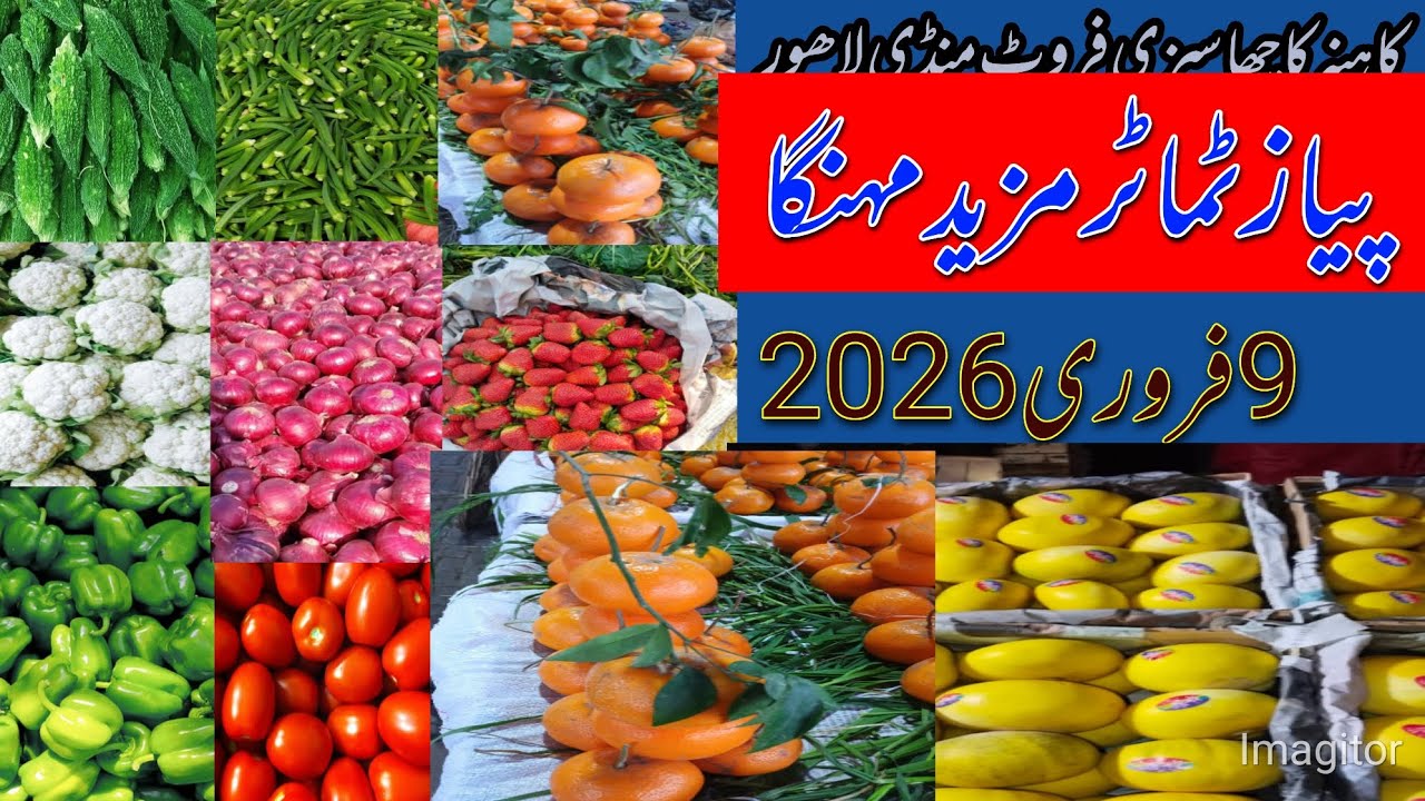 کاہنہ کاچھا سبزی اینڈ فروٹ منڈی لاھور اپڈیٹ  🍊🍎🍍🍌🍓🍉💯🥦🥒🫑🥕🫚🍅♥️9فروری2026#vegitablemarket ##eating 