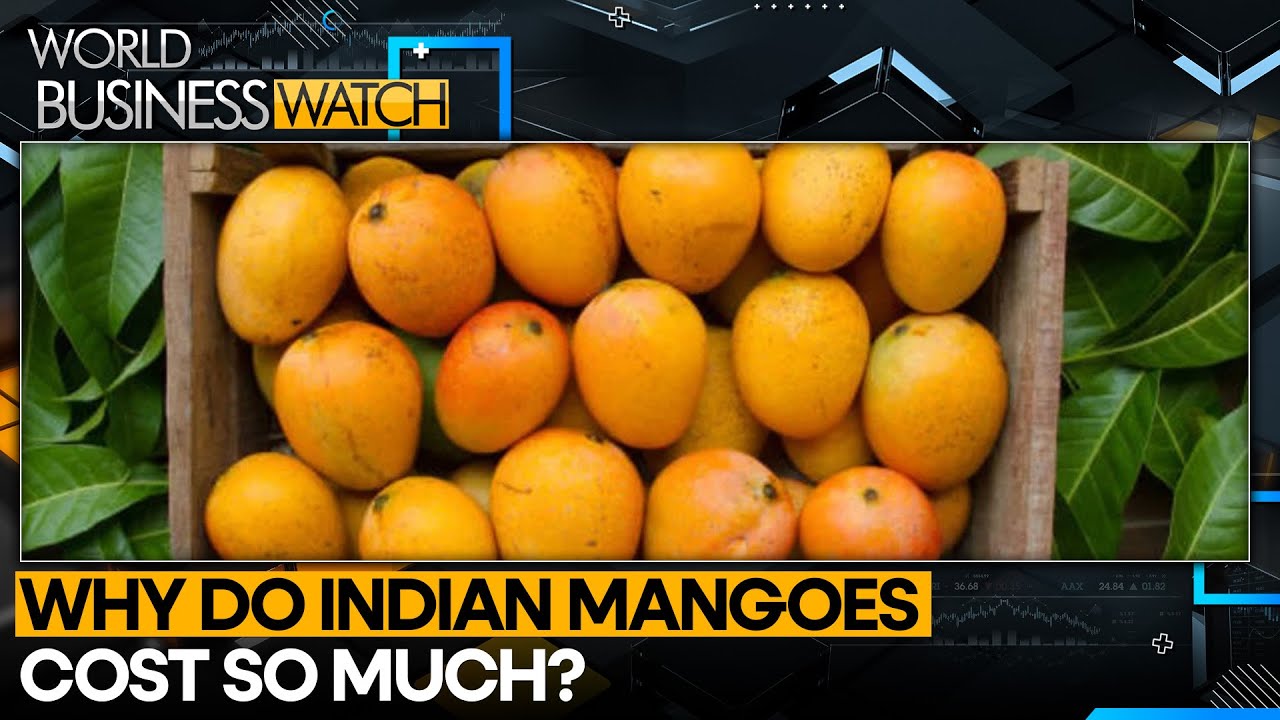Mango Supply Struggles: The Cost Of Exporting | World Business Watch | WION