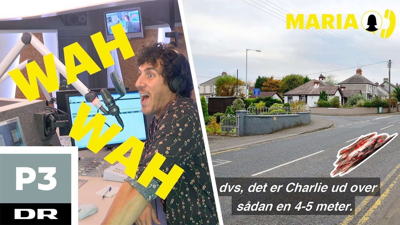 Maria brugte en formue p&aring; kattens diabetes | Danskerbingo | DR P3