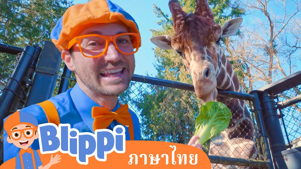 Blippi ไทย | บลิพปี้ไปสวนสัตว์ - การให้อาหารสัตว์ต่าง ๆ | วิดีโอการเรียนรู้สำหรับเด็ก
