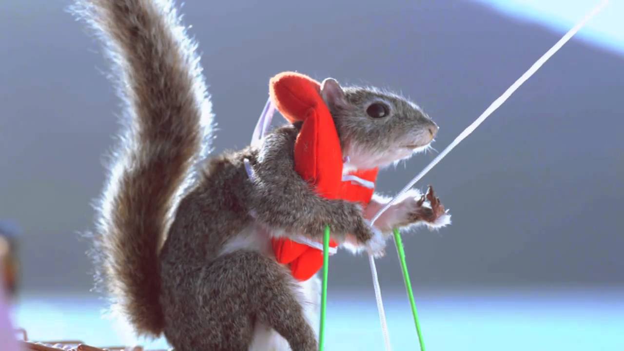 O2 advert: Thinking of You - Hemingway the squirrel