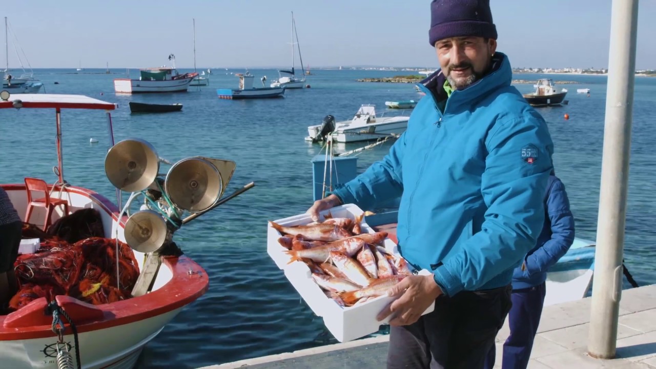 PORTO CESAREO cenni storici e geografici