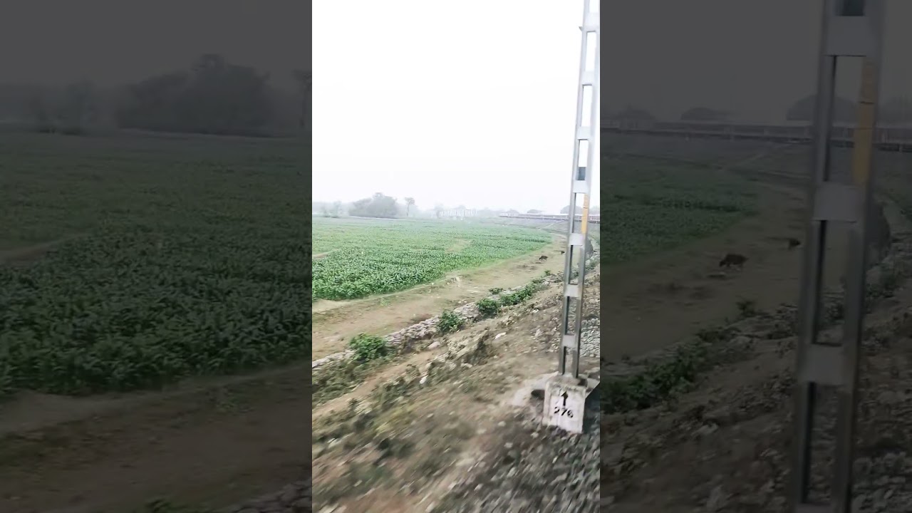 वादियों का शहर ठाकुरगंज♥️
