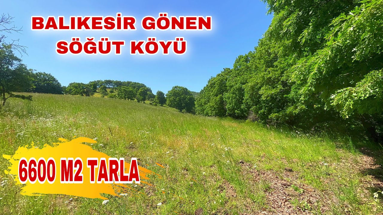 SATILDI Gönen Söğüt Köyünde 6600 M2 Satılık Tarla 235.000 TL