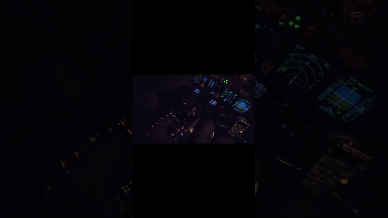 Singapore (SIN/WSSS) 4AM Night Arrival | Final Approach & Touchdown | #aviation #b737 #airplane 