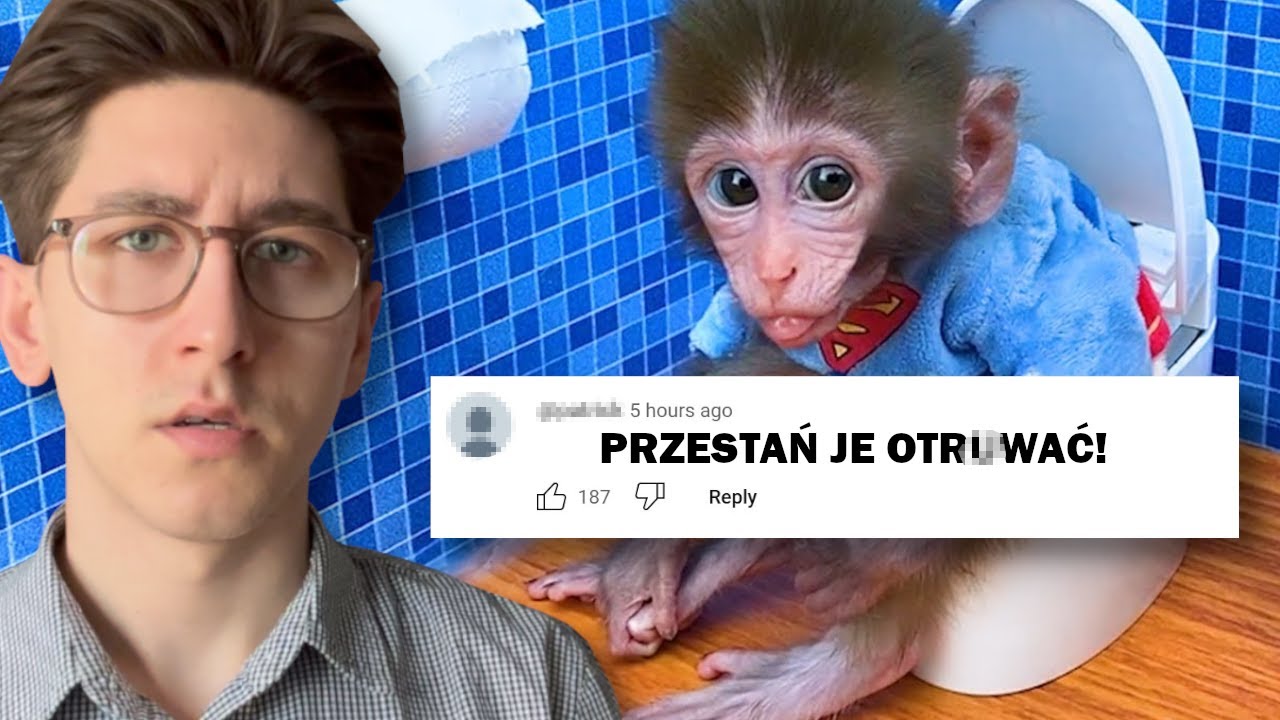 YOUTUBERZY MĘCZĄ ZWIERZĘTA DLA WYŚWIETLEŃ
