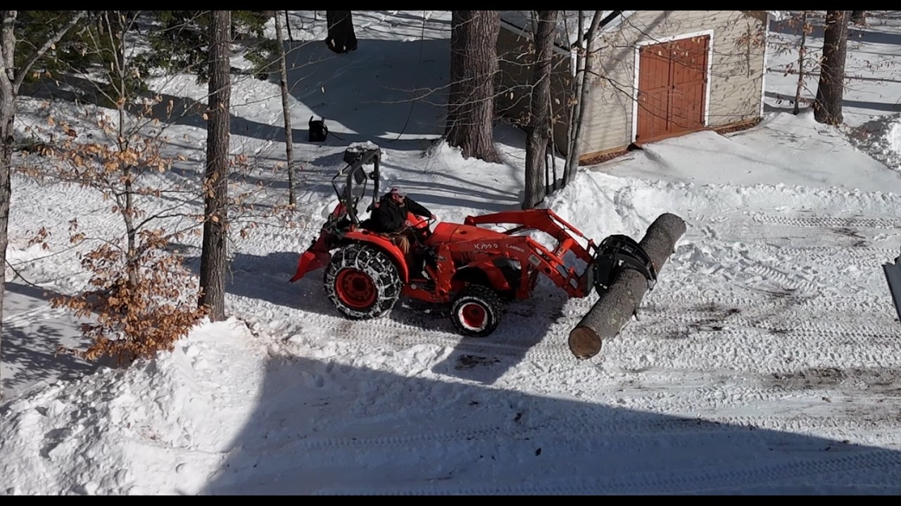 2026 Pine tree harvesting recorded with DJI Mini 4 Pro