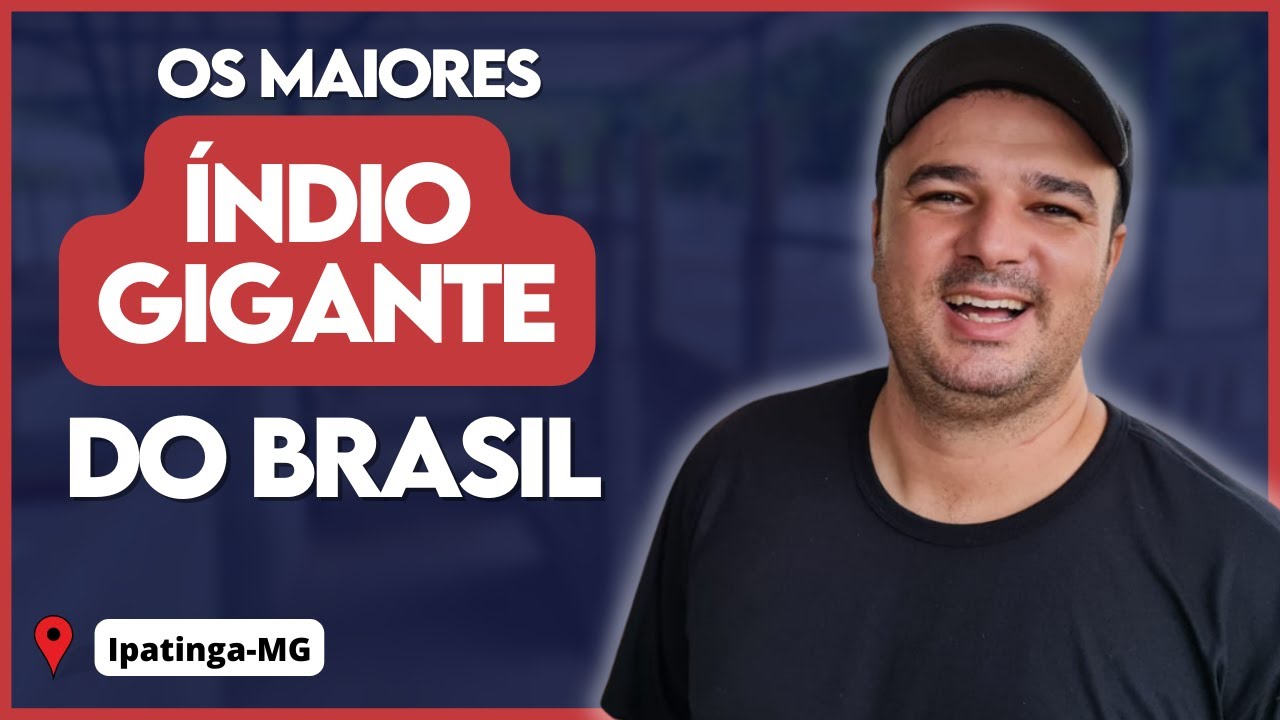 Ele tem os MAIORES ÍNDIO GIGANTE que eu já vi. Você vai ser SURPREENDER com a qualidade.