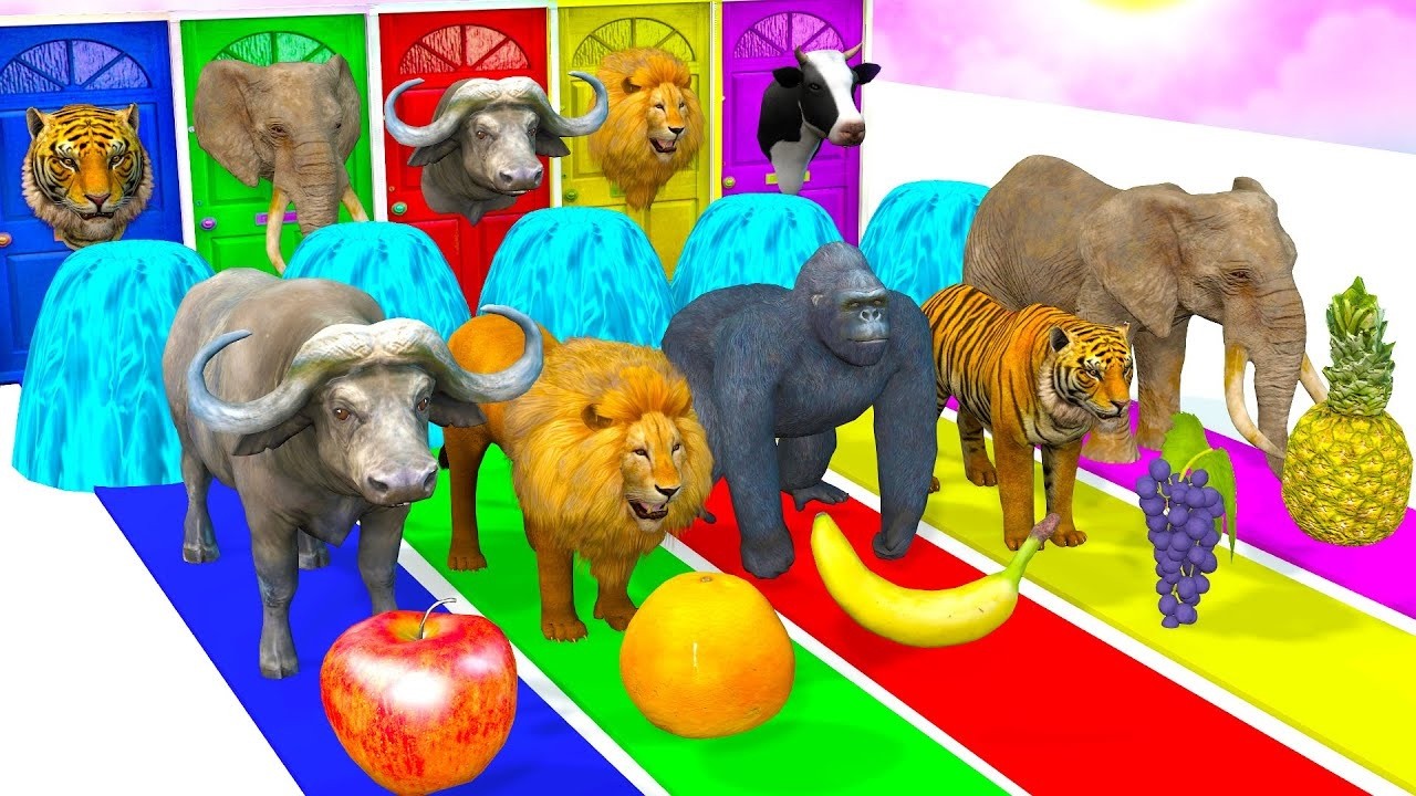 Long Slide Game With Elephant Gorilla Buffalo Hippopotamus Tiger 3d Animal Game Funny 3d Animals