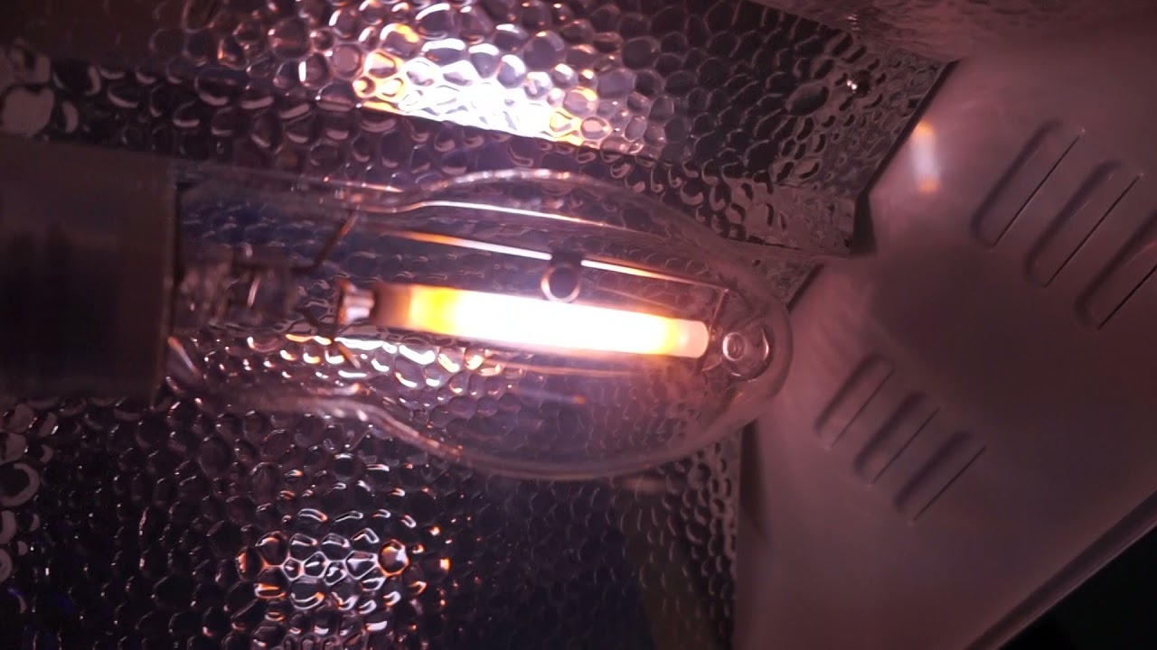 150 Watt HPS Light!
