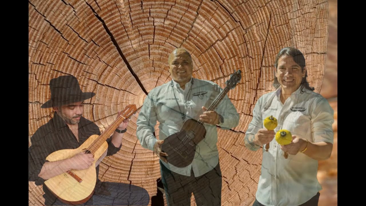 LLANERO SIENTE Y LAMENTA (pista en mi menor)