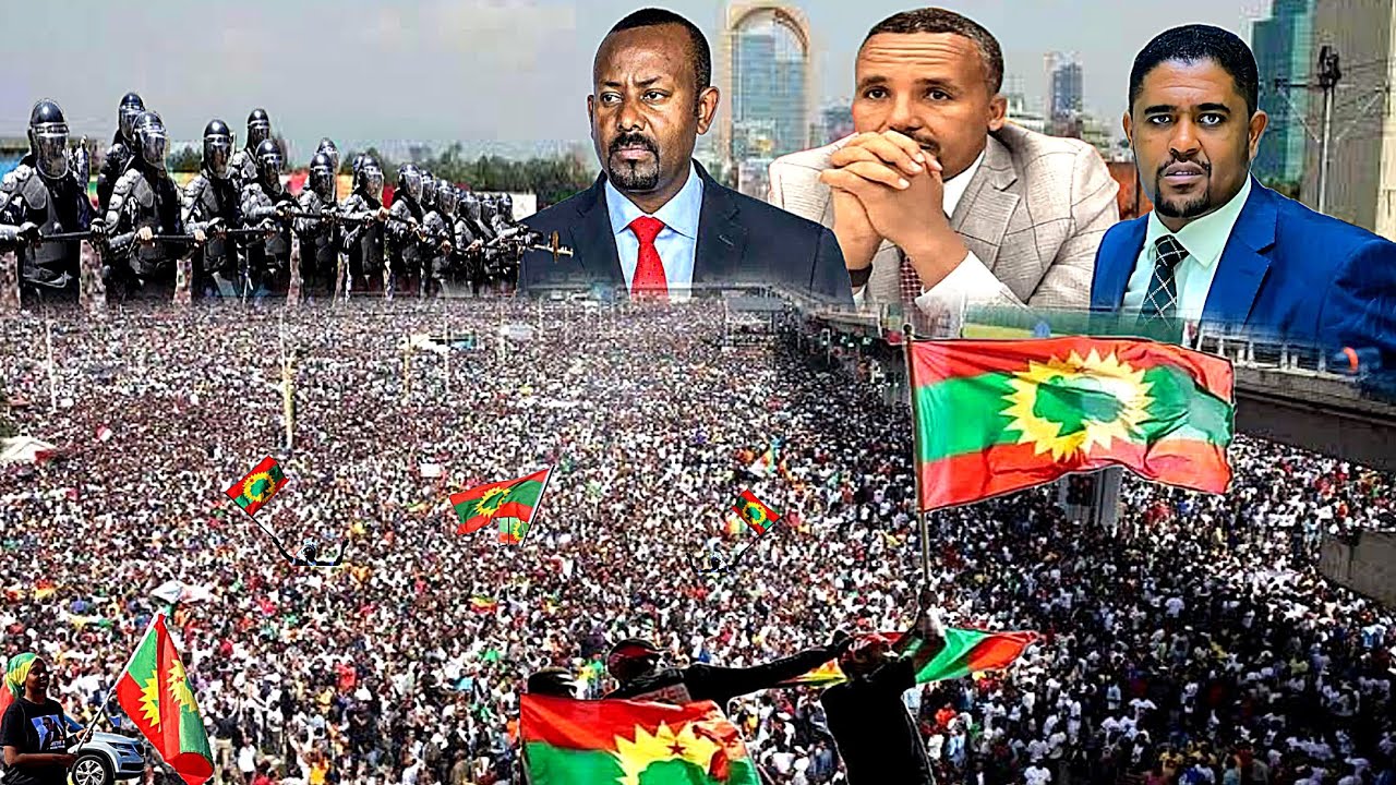ODUU Ammee Qeerroon Hiriira guddaa dhosee Oromiyaa gutuu | Moha Oromo