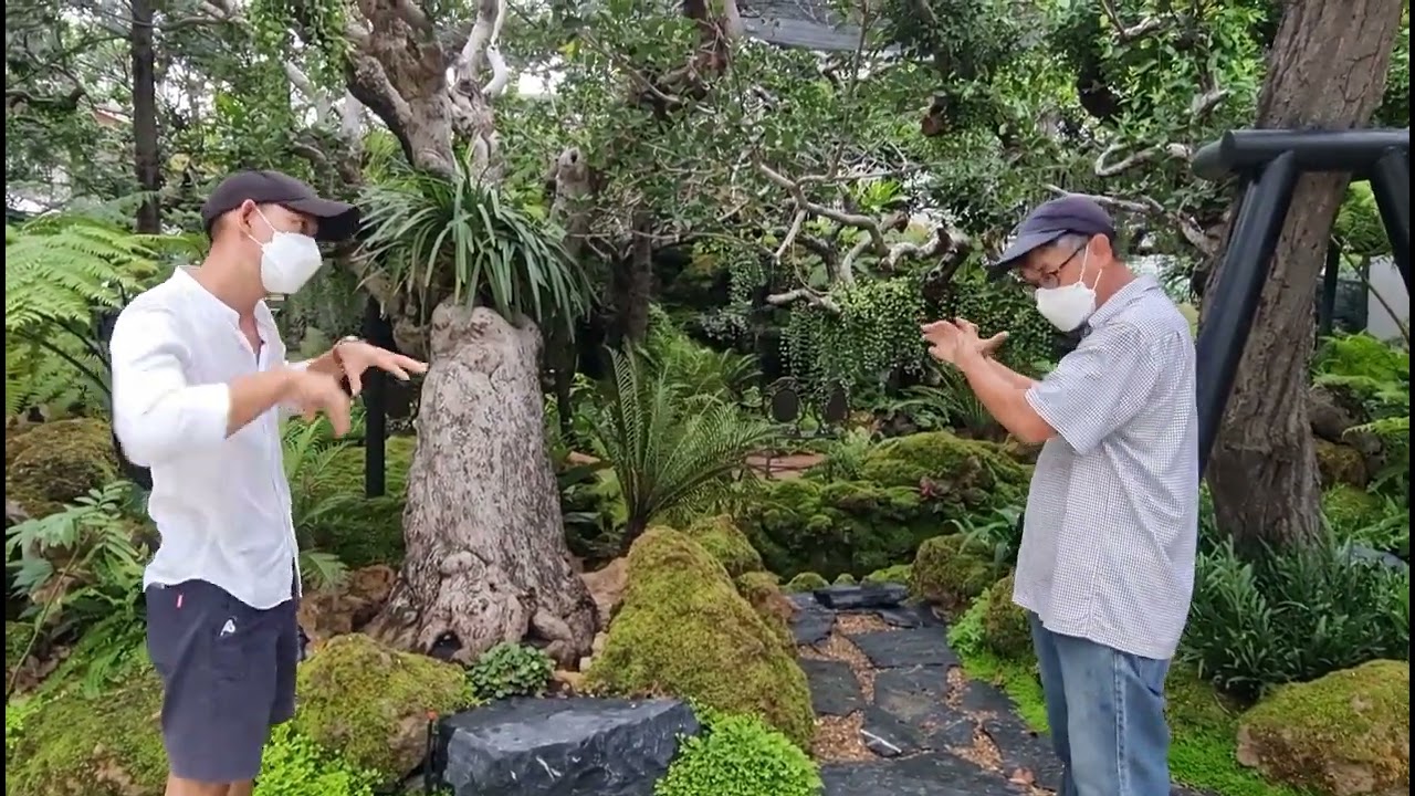 Ep.6 สวนทรอปิคลอในคาเฟ่ย่านเมืองทองธานี2
