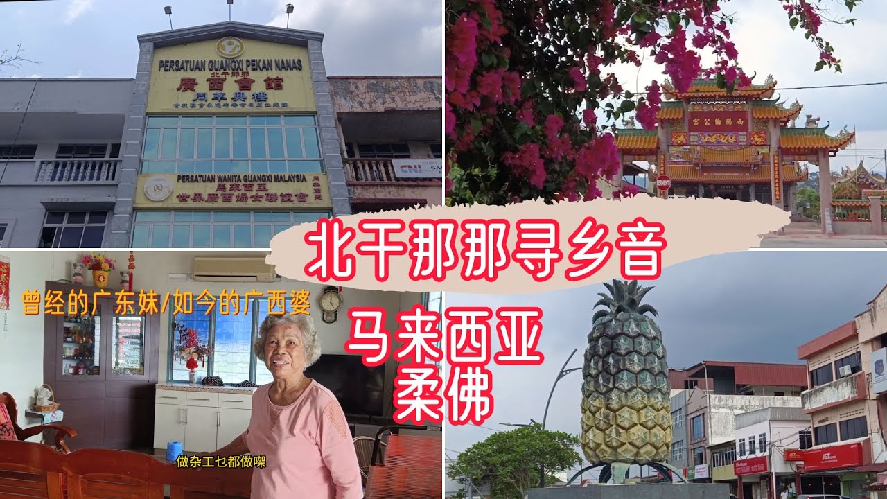 马来西亚北干那那/  #广西会馆 / 黄梨小镇 / #我是广西人 / #北干人北干事 / Pekan Nenas / #红田乌 / #马来西亚华人新村