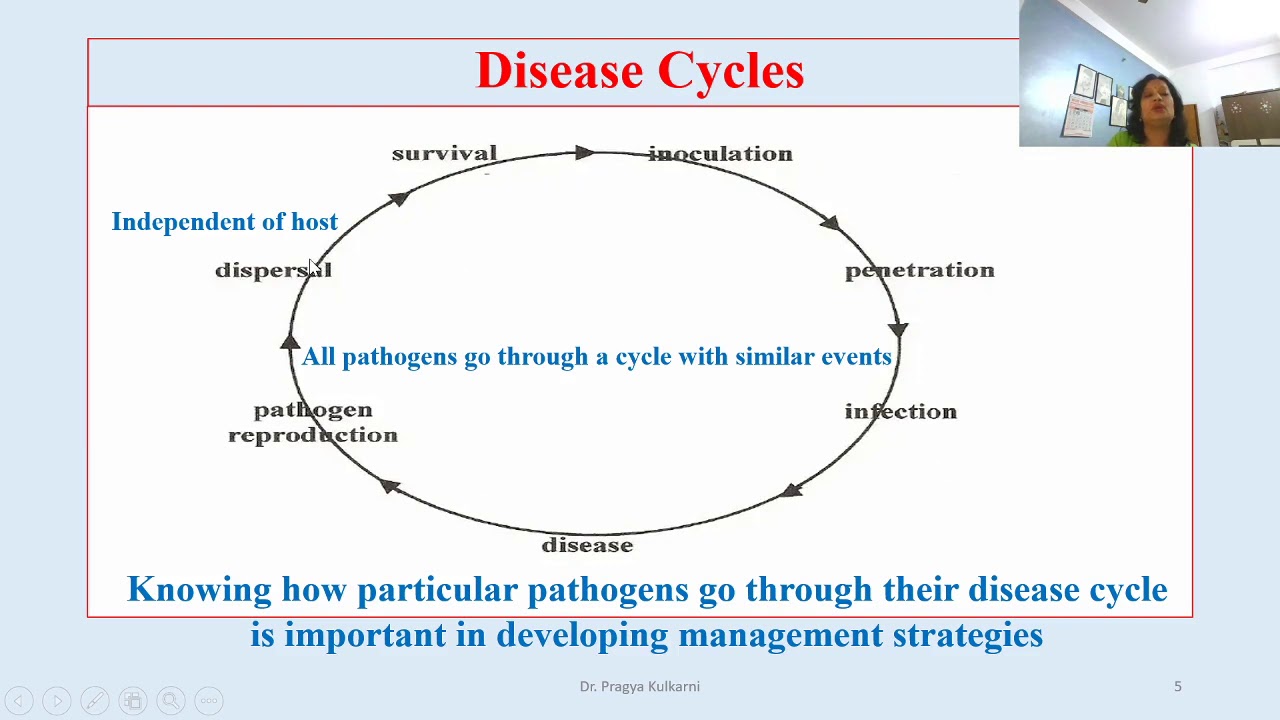 Principles Of Plant Disease  Control