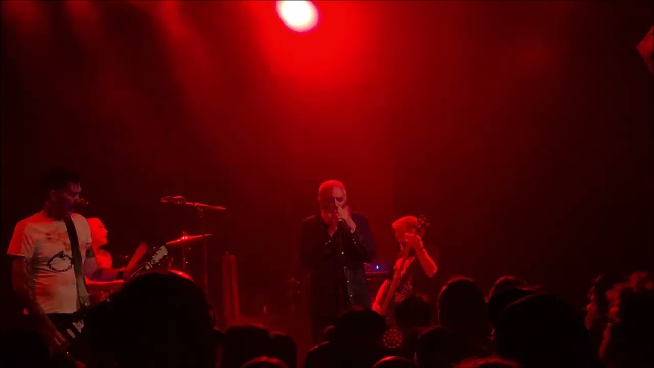 Beastwars w/ Soft Bait & Pull Down the Sun - 22nd November 2025 - Meow Nui, Wellington, NZ