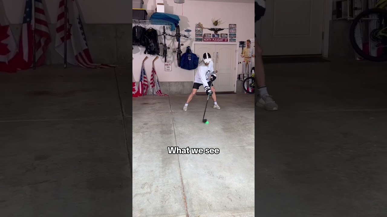 Hockey players: have you tried DanglePro yet? #hockey #icehockey #hockeytraining #nhl #hockeyplayer