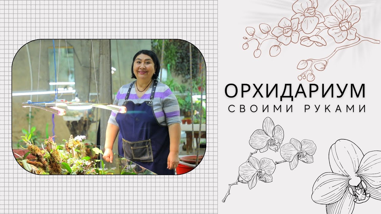 Орхидариум  своими руками