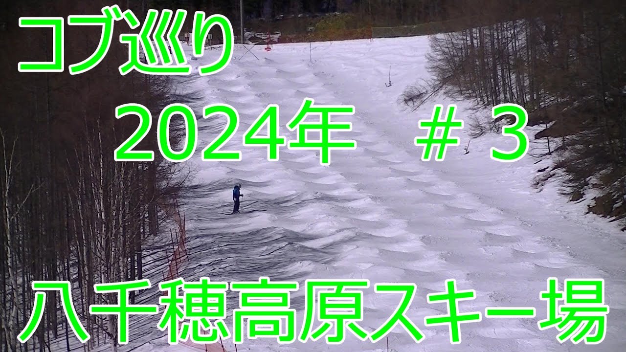 コブ巡り　2024年　＃３　八千穂高原スキー場 急斜面コブ