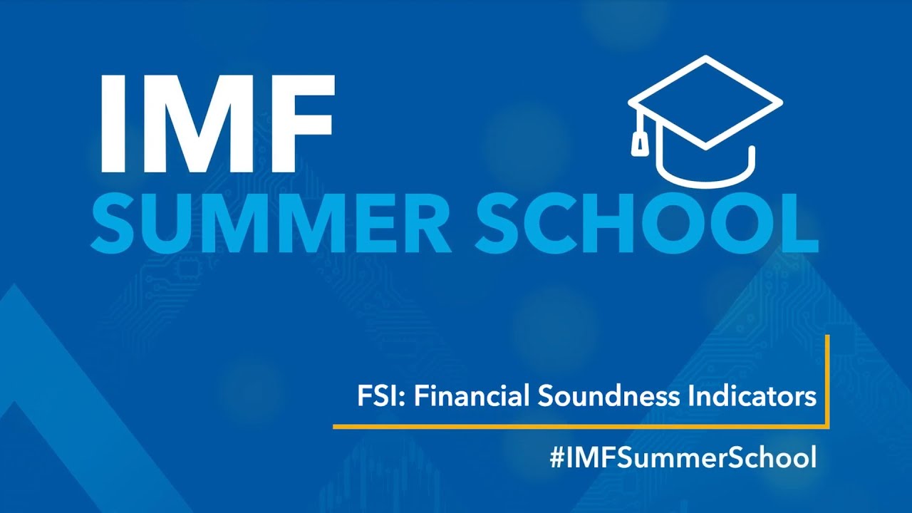 IMF Summer School: Financial Soundness Indicators (FSI)
