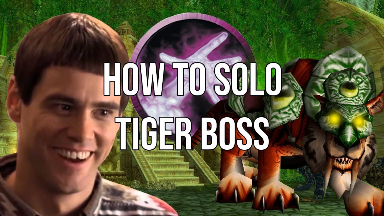 How to Solo Thekal as a Warlock - Tiger Mount